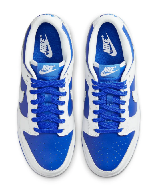 Nike Dunk Low 'Racer Blue White' | Blue Shift | DD1391-401